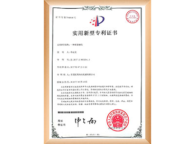 榮譽證書